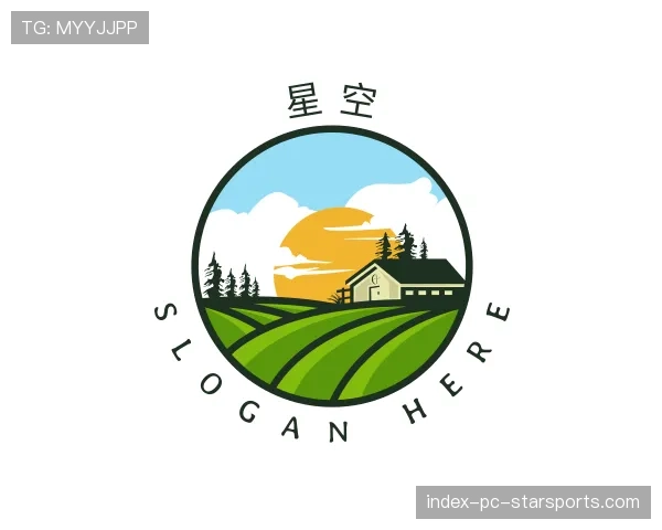 介绍星空世界杯